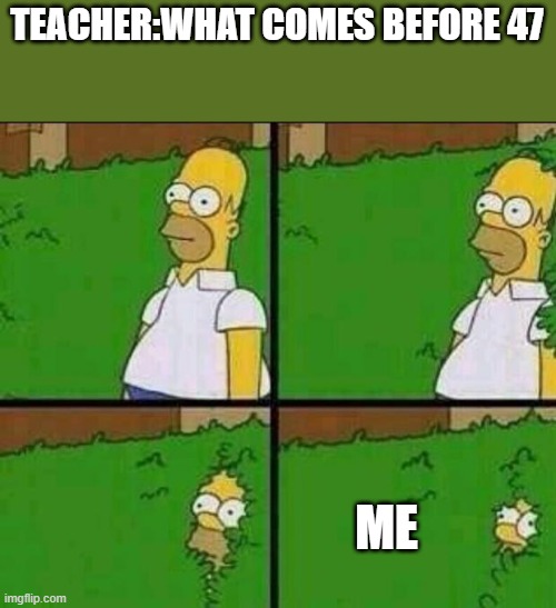47 | TEACHER:WHAT COMES BEFORE 47; ME | image tagged in homer simpson in bush - large | made w/ Imgflip meme maker