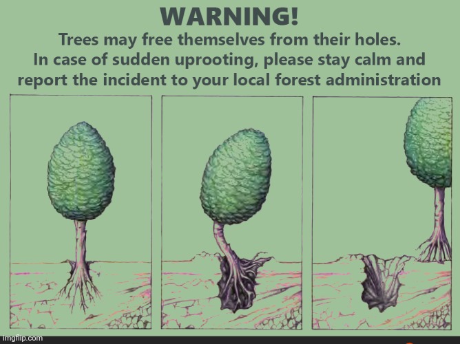 The trees have gained sentience and are freeing themselves Imgflip