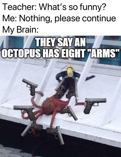 image tagged in teacher what's so funny,octopus | made w/ Imgflip meme maker