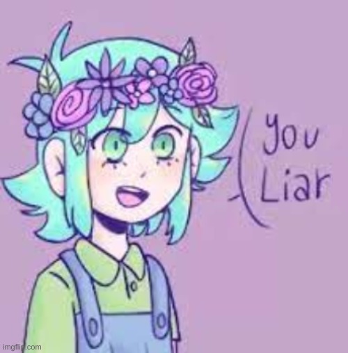 You Liar | image tagged in you liar | made w/ Imgflip meme maker
