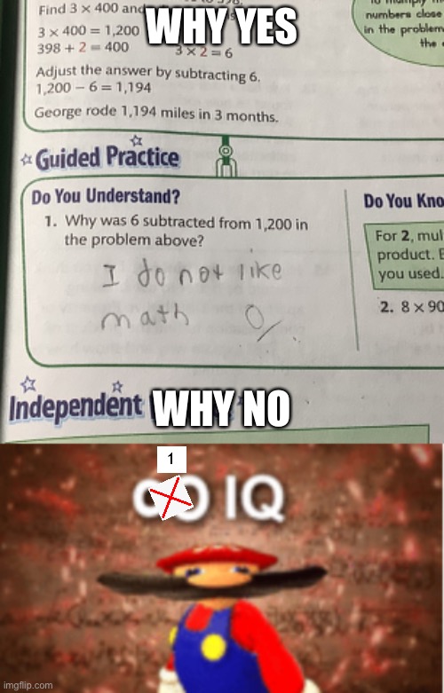 One Iq | WHY YES; WHY NO | image tagged in infinite iq | made w/ Imgflip meme maker