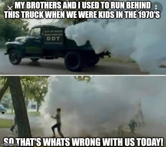 DDT chemical | MY BROTHERS AND I USED TO RUN BEHIND THIS TRUCK WHEN WE WERE KIDS IN THE 1970'S; SO THAT'S WHATS WRONG WITH US TODAY! | image tagged in trucks | made w/ Imgflip meme maker
