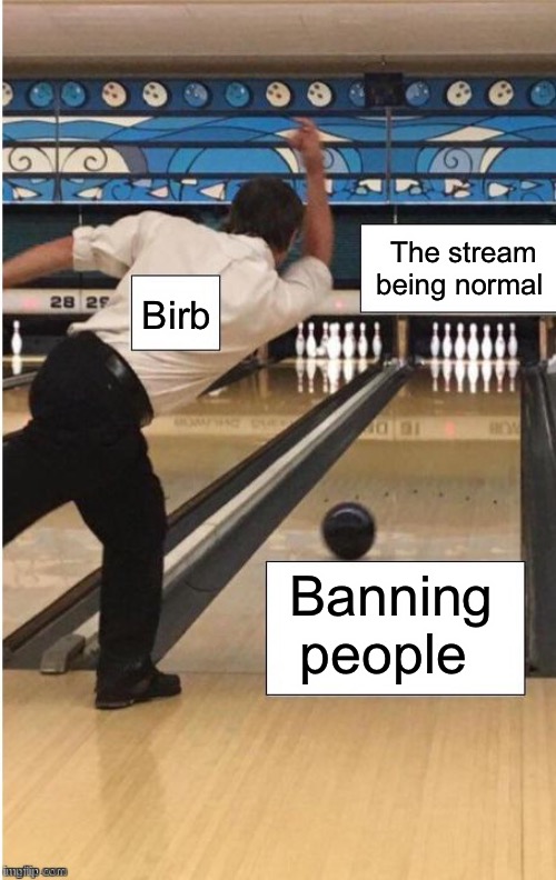 Bruh | Birb; The stream being normal; Banning people | image tagged in bowling | made w/ Imgflip meme maker