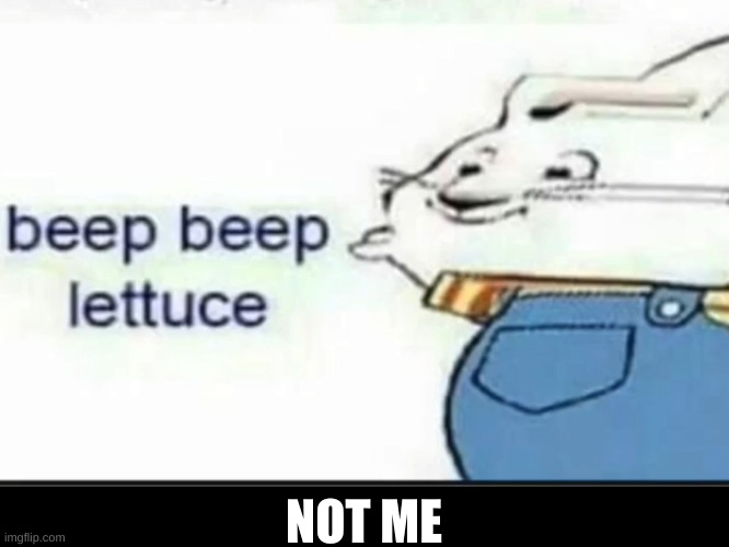 beep bepelepepleosjgvutfgsqxygujkm lettuce | NOT ME | image tagged in beep beep lettuce,memes | made w/ Imgflip meme maker