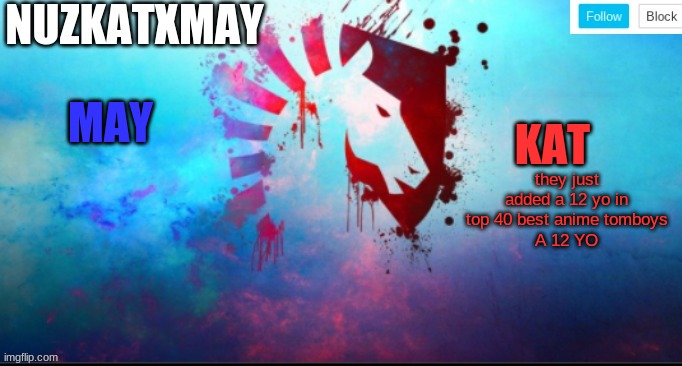 E | they just added a 12 yo in top 40 best anime tomboys
A 12 YO | image tagged in e | made w/ Imgflip meme maker