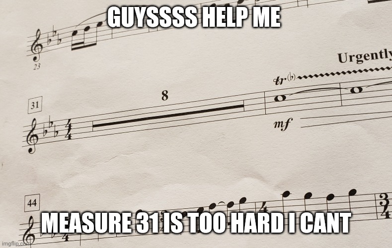 It's too hard | GUYSSSS HELP ME; MEASURE 31 IS TOO HARD I CANT | image tagged in aaa | made w/ Imgflip meme maker