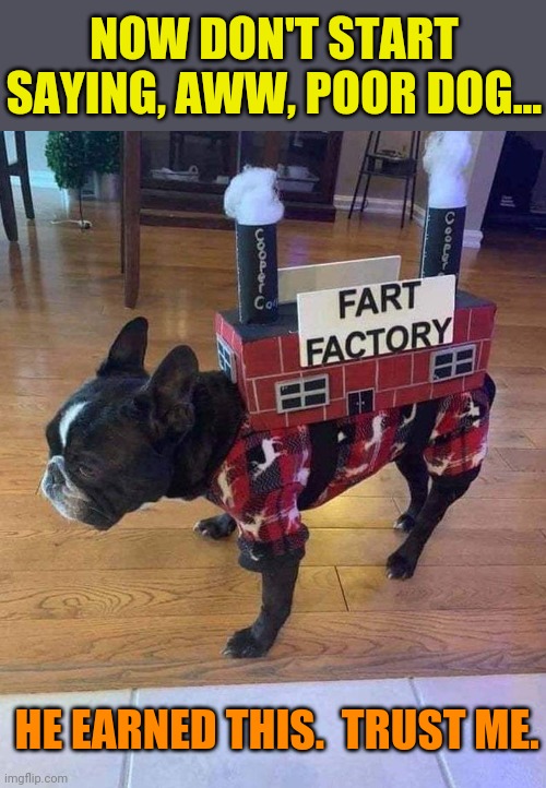 Toting the tooter tower | NOW DON'T START SAYING, AWW, POOR DOG... HE EARNED THIS.  TRUST ME. | image tagged in fart,factory,funny dog,costume,stinky,dog | made w/ Imgflip meme maker