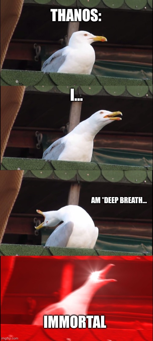 Inhaling Seagull Meme | THANOS:; I…; AM *DEEP BREATH…; IMMORTAL | image tagged in memes,inhaling seagull | made w/ Imgflip meme maker