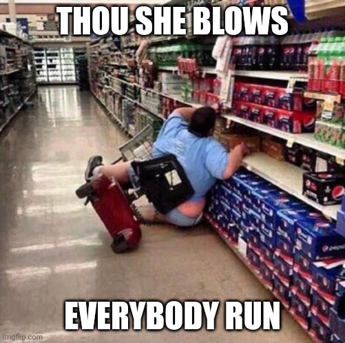 Fall over | THOU SHE BLOWS; EVERYBODY RUN | image tagged in fat person falling over | made w/ Imgflip meme maker