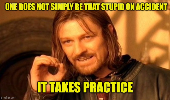 One Does Not Simply Meme | ONE DOES NOT SIMPLY BE THAT STUPID ON ACCIDENT IT TAKES PRACTICE | image tagged in memes,one does not simply | made w/ Imgflip meme maker