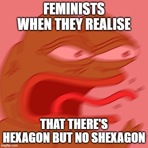 wait | FEMINISTS WHEN THEY REALISE; THAT THERE'S HEXAGON BUT NO SHEXAGON | image tagged in reeeeeeeeeeeeeeeeeeeeee | made w/ Imgflip meme maker