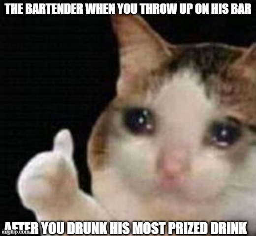 Bartender: *Take damage* | THE BARTENDER WHEN YOU THROW UP ON HIS BAR; AFTER YOU DRUNK HIS MOST PRIZED DRINK | image tagged in approved crying cat | made w/ Imgflip meme maker