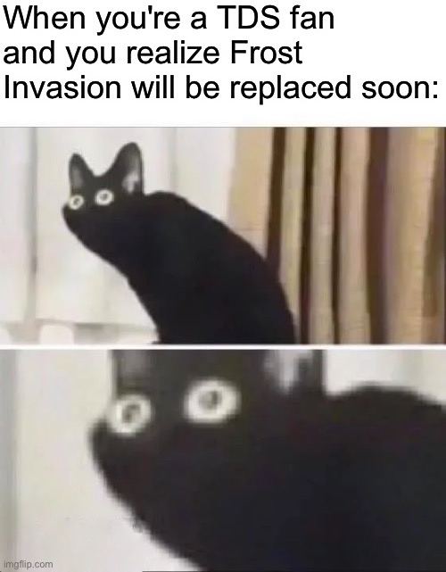 Oh No Black Cat | When you're a TDS fan and you realize Frost Invasion will be replaced soon: | image tagged in oh no black cat | made w/ Imgflip meme maker