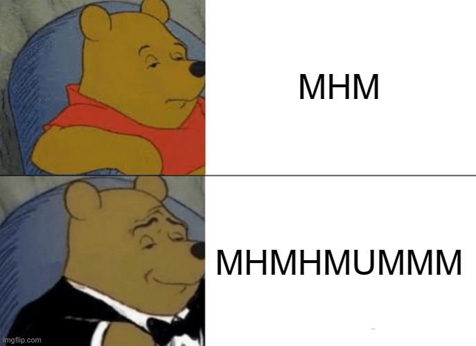 HA HO HA HO | MHM; MHMHMUMMM | image tagged in memes,tuxedo winnie the pooh | made w/ Imgflip meme maker