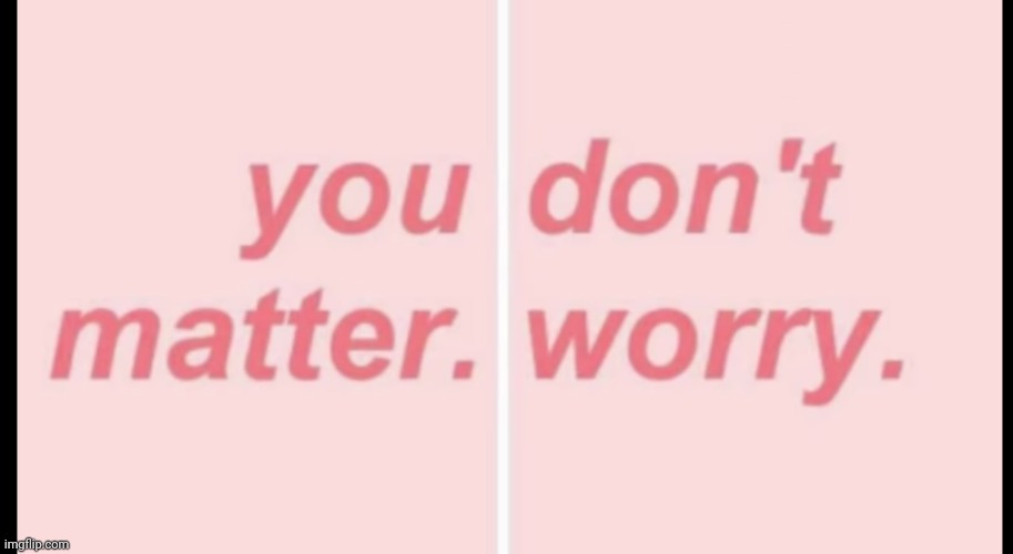 You don't matter worry | image tagged in you don't matter worry | made w/ Imgflip meme maker