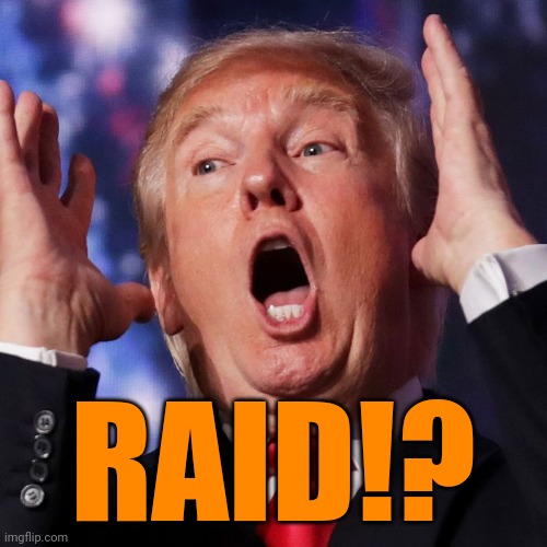 The Adolf Hitler of stupid | RAID!? | image tagged in the adolf hitler of stupid | made w/ Imgflip meme maker