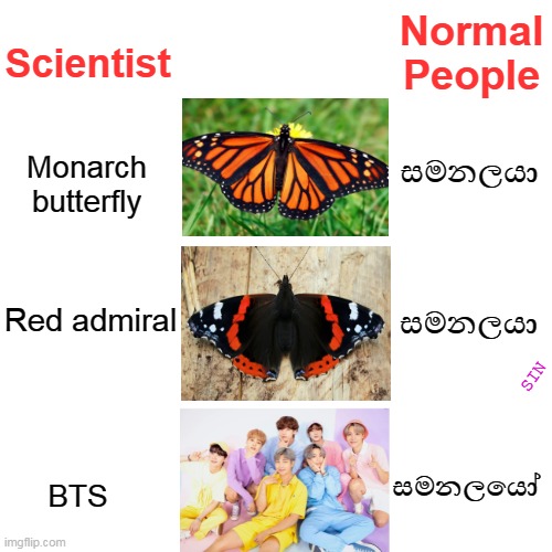 butterfly | Normal People; Scientist; සමනලයා; Monarch butterfly; සමනලයා; Red admiral; SIN; සමනලයෝ; BTS | image tagged in bts,sinhala,meme,fun | made w/ Imgflip meme maker