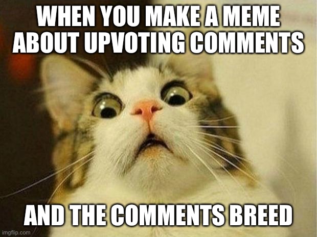 So this happened | WHEN YOU MAKE A MEME ABOUT UPVOTING COMMENTS; AND THE COMMENTS BREED | image tagged in memes,scared cat | made w/ Imgflip meme maker