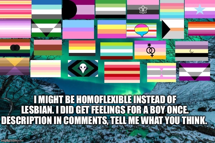 Northern Lights Announcement | I MIGHT BE HOMOFLEXIBLE INSTEAD OF LESBIAN. I DID GET FEELINGS FOR A BOY ONCE. DESCRIPTION IN COMMENTS, TELL ME WHAT YOU THINK. | image tagged in northern lights announcement | made w/ Imgflip meme maker