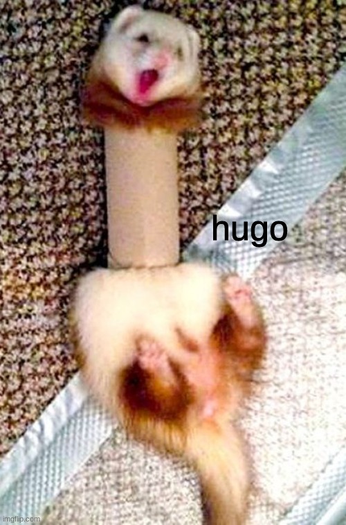 hugo | made w/ Imgflip meme maker