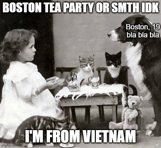 We don't learn that here | BOSTON TEA PARTY OR SMTH IDK; Boston, 19 bla bla bla; I'M FROM VIETNAM | image tagged in tea party | made w/ Imgflip meme maker