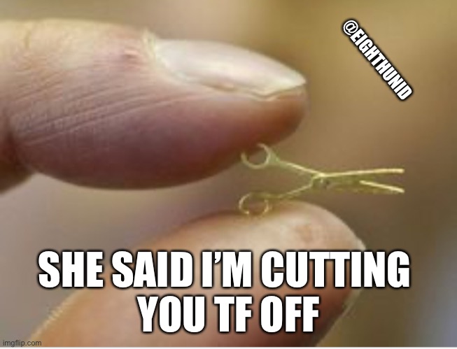 bye | @EIGHTHUNID; SHE SAID I’M CUTTING 
YOU TF OFF | image tagged in bye | made w/ Imgflip meme maker