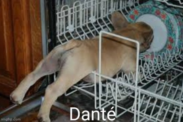 Danté | image tagged in memes | made w/ Imgflip meme maker