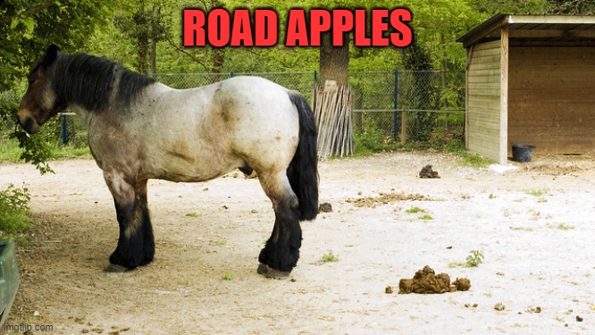 horse shit | ROAD APPLES | image tagged in horse shit | made w/ Imgflip meme maker