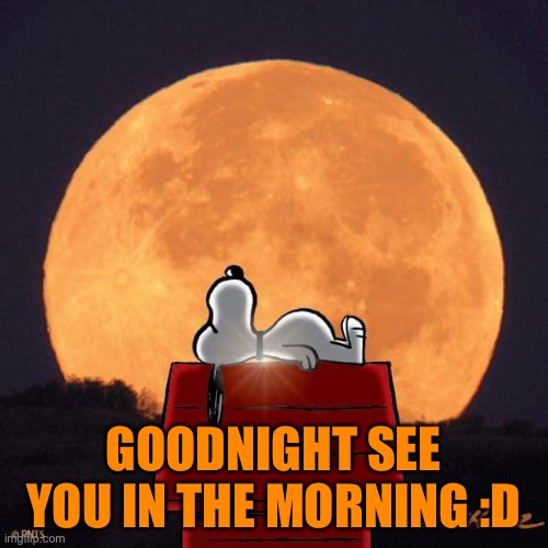 Goodnight :) | GOODNIGHT SEE YOU IN THE MORNING :D | image tagged in goodnight | made w/ Imgflip meme maker