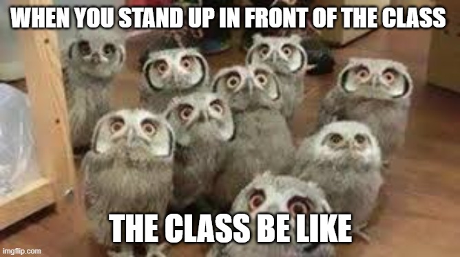 this is so true | WHEN YOU STAND UP IN FRONT OF THE CLASS; THE CLASS BE LIKE | image tagged in so true meme | made w/ Imgflip meme maker