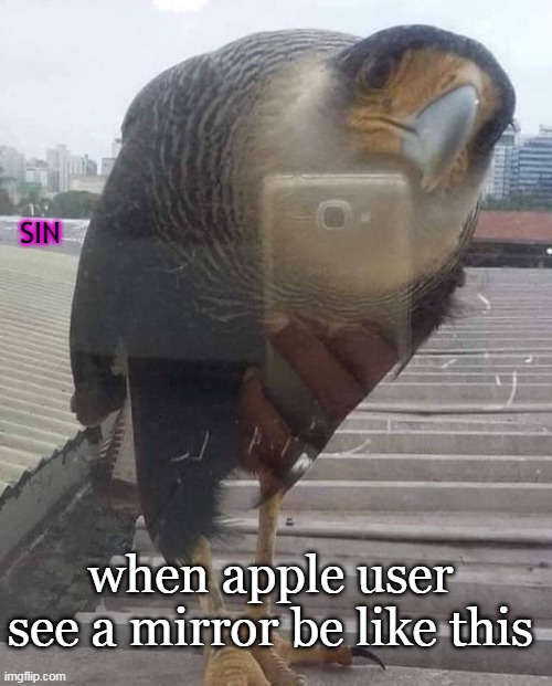 when apple user see a mirror be like this | SIN; when apple user see a mirror be like this | image tagged in appleuser | made w/ Imgflip meme maker