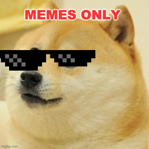 Image for Meme only discord | MEMES ONLY | image tagged in memes,doge | made w/ Imgflip meme maker