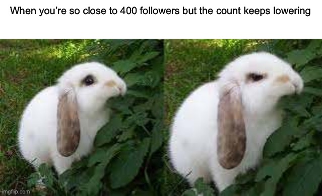 I just want it to happen, that’s all. | When you’re so close to 400 followers but the count keeps lowering | image tagged in cute angry rabbit | made w/ Imgflip meme maker