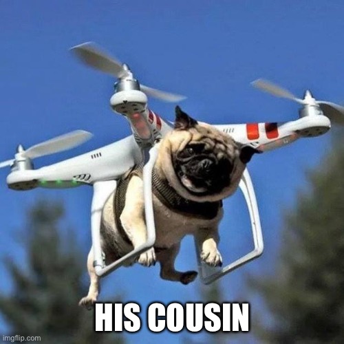 I think I can fly | HIS COUSIN | image tagged in flying pug,i believe i can fly | made w/ Imgflip meme maker