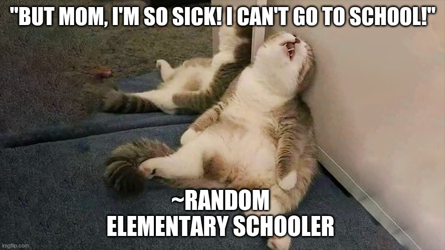 NO SCHOOL CAT |  "BUT MOM, I'M SO SICK! I CAN'T GO TO SCHOOL!"; ~RANDOM ELEMENTARY SCHOOLER | image tagged in cats,school,funny,memes | made w/ Imgflip meme maker