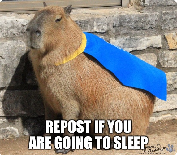 REPOST IF YOU ARE GOING TO SLEEP | made w/ Imgflip meme maker