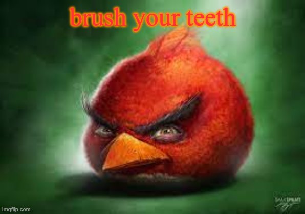 brib | brush your teeth | image tagged in realistic red angry birds,birb,red,barny obama | made w/ Imgflip meme maker