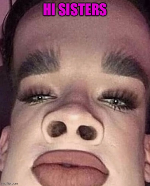 James Charles | HI SISTERS | image tagged in james charles | made w/ Imgflip meme maker