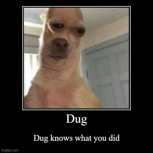 Dug knows | image tagged in funny,demotivationals | made w/ Imgflip demotivational maker