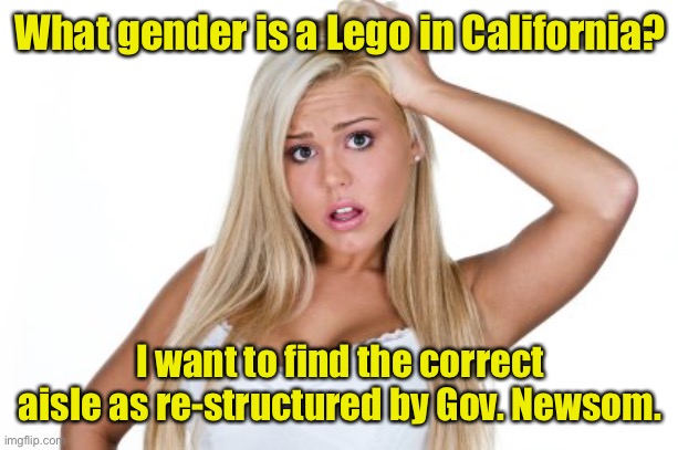 Because no one knew how to shop in California without the Governor’s edict. | What gender is a Lego in California? I want to find the correct aisle as re-structured by Gov. Newsom. | image tagged in dumb blonde,lego,gender aisles,gavin newsom,executive order,shopping | made w/ Imgflip meme maker