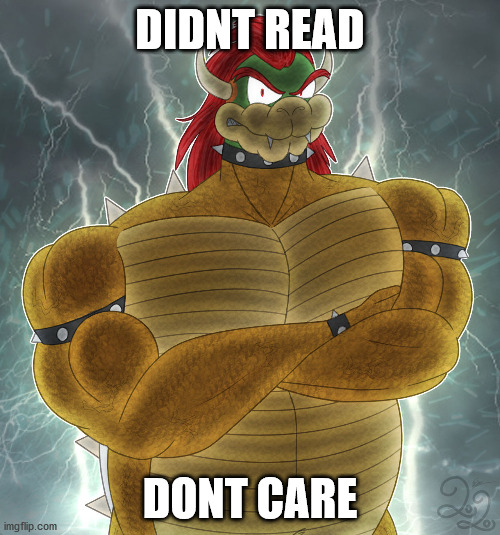 didnt read dont care bowser | DIDNT READ; DONT CARE | image tagged in tldr,funny,dark humor | made w/ Imgflip meme maker