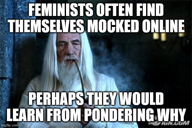FEMINISTS OFTEN FIND THEMSELVES MOCKED ONLINE PERHAPS THEY WOULD LEARN FROM PONDERING WHY | image tagged in gandalf smoking | made w/ Imgflip meme maker