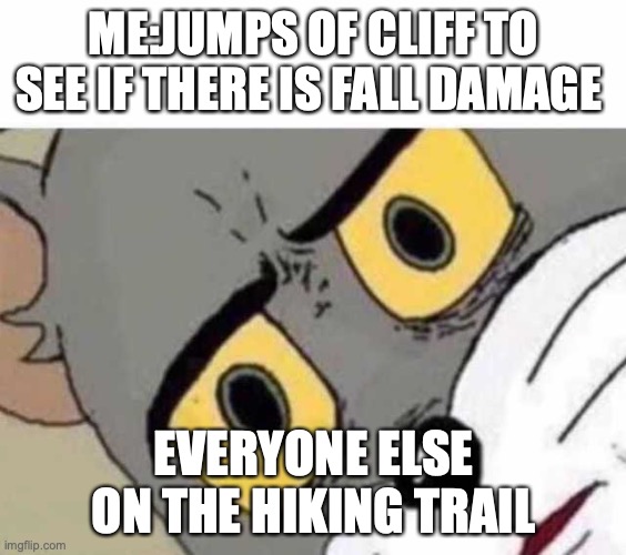 Tom Cat Unsettled Close up | ME:JUMPS OF CLIFF TO SEE IF THERE IS FALL DAMAGE; EVERYONE ELSE ON THE HIKING TRAIL | image tagged in tom cat unsettled close up,funy | made w/ Imgflip meme maker