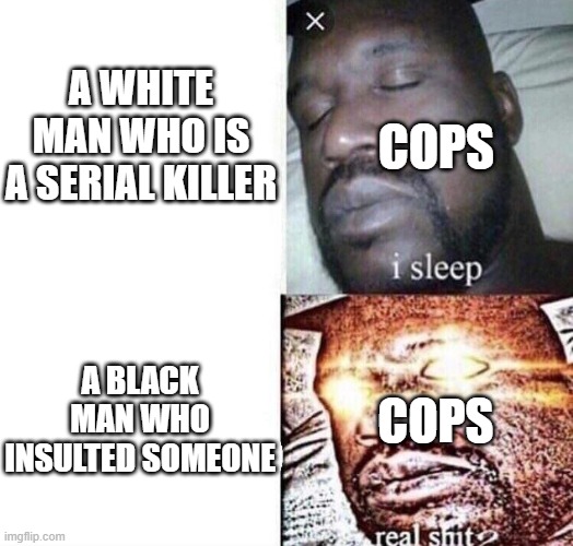 A bit ironic if you look at the template | A WHITE MAN WHO IS A SERIAL KILLER; COPS; A BLACK MAN WHO INSULTED SOMEONE; COPS | image tagged in i sleep real shit | made w/ Imgflip meme maker