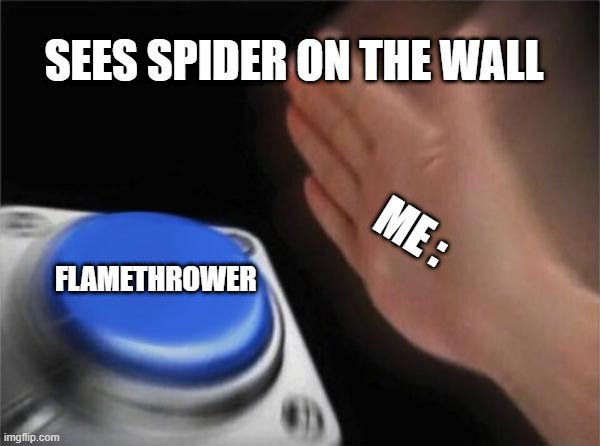 This is what you wanna do | SEES SPIDER ON THE WALL; ME :; FLAMETHROWER | image tagged in memes,blank nut button | made w/ Imgflip meme maker