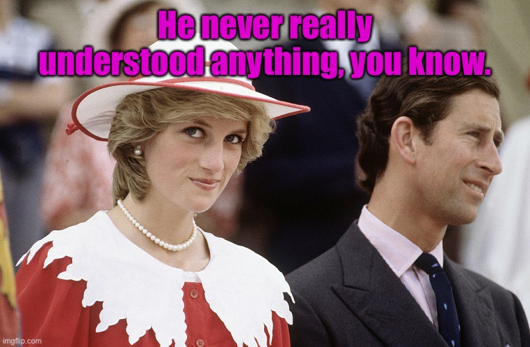 Princess diana and charles | He never really understood anything, you know. | image tagged in princess diana and charles | made w/ Imgflip meme maker