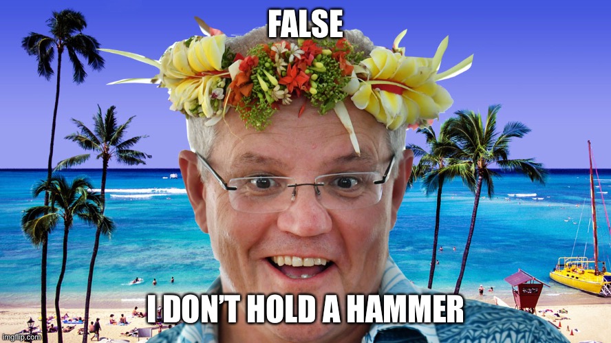 Scotty don’t hold | FALSE I DON’T HOLD A HAMMER | image tagged in aussie pm scott morrison | made w/ Imgflip meme maker
