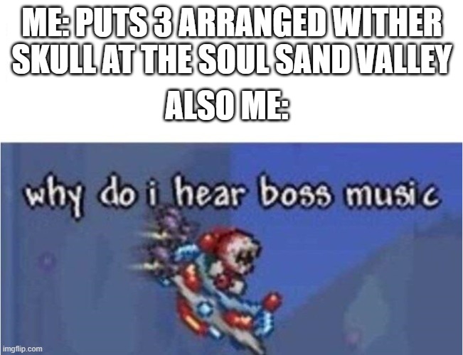 accidentaly summons a wither | ME: PUTS 3 ARRANGED WITHER SKULL AT THE SOUL SAND VALLEY; ALSO ME: | image tagged in why do i hear boss music | made w/ Imgflip meme maker