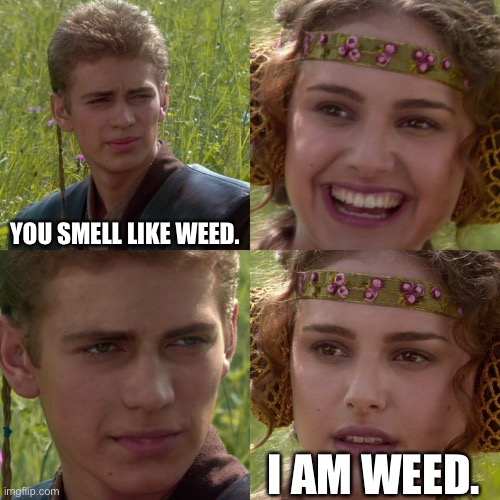 Anakin smells it too | YOU SMELL LIKE WEED. I AM WEED. | image tagged in anakin padme 4 panel | made w/ Imgflip meme maker