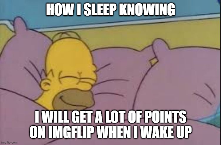 Points | HOW I SLEEP KNOWING; I WILL GET A LOT OF POINTS ON IMGFLIP WHEN I WAKE UP | image tagged in how i sleep homer simpson | made w/ Imgflip meme maker